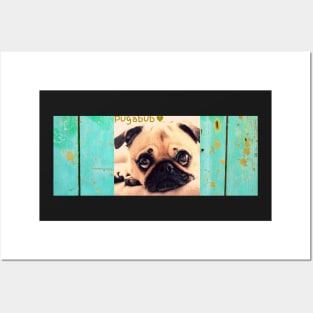 Pug cute dog Posters and Art